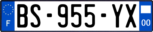BS-955-YX