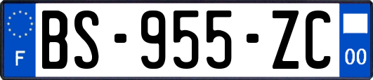 BS-955-ZC