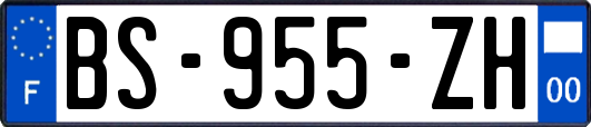 BS-955-ZH