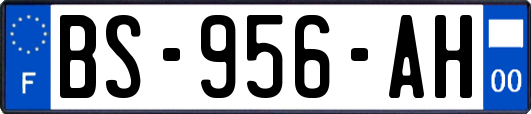 BS-956-AH