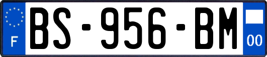 BS-956-BM