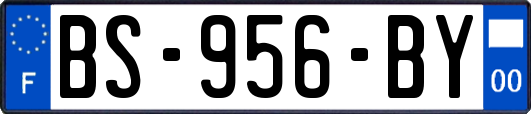 BS-956-BY