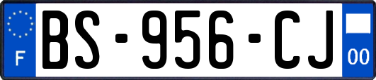 BS-956-CJ