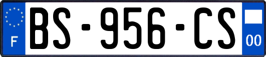 BS-956-CS