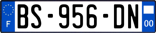 BS-956-DN