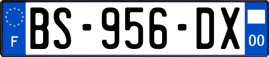 BS-956-DX