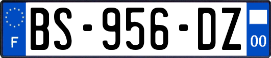 BS-956-DZ