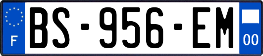 BS-956-EM