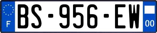 BS-956-EW