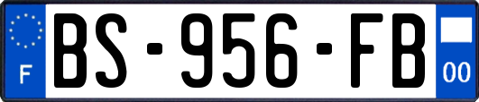 BS-956-FB