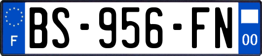 BS-956-FN