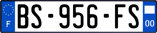BS-956-FS