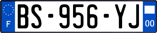BS-956-YJ