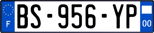 BS-956-YP