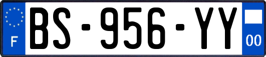 BS-956-YY