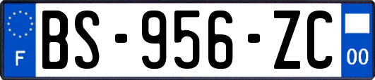 BS-956-ZC