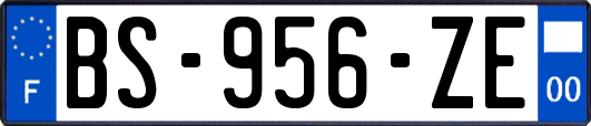 BS-956-ZE