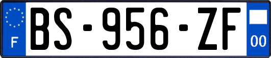 BS-956-ZF