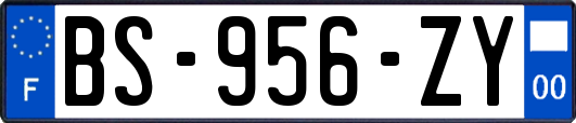 BS-956-ZY
