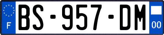 BS-957-DM
