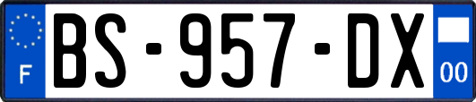 BS-957-DX