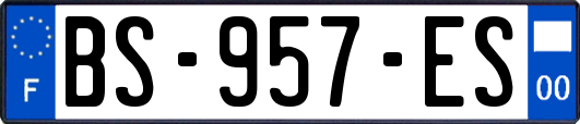 BS-957-ES