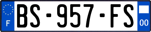 BS-957-FS