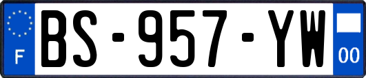BS-957-YW