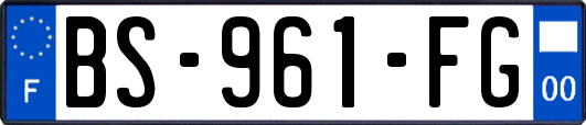 BS-961-FG