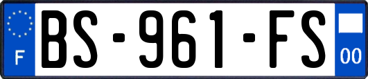 BS-961-FS