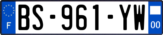 BS-961-YW
