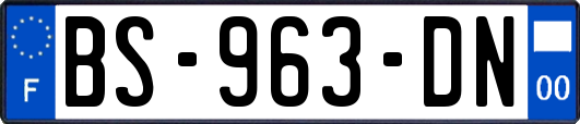 BS-963-DN