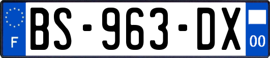 BS-963-DX