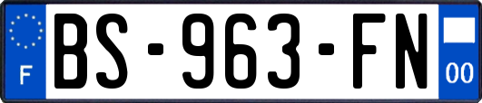 BS-963-FN
