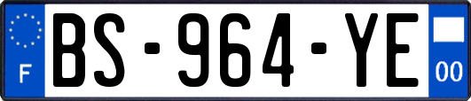 BS-964-YE