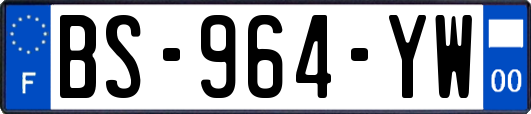 BS-964-YW