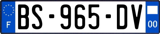 BS-965-DV