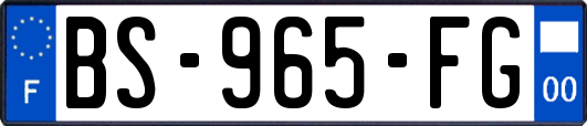 BS-965-FG