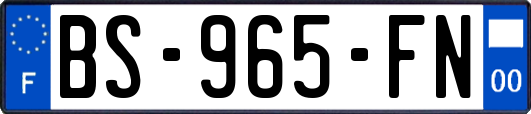 BS-965-FN