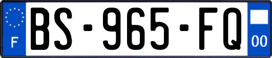 BS-965-FQ