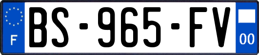 BS-965-FV
