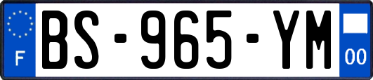 BS-965-YM