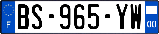 BS-965-YW
