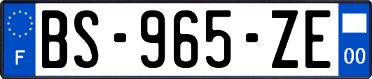 BS-965-ZE