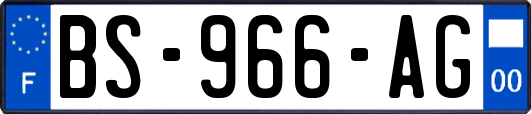 BS-966-AG