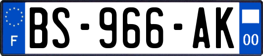 BS-966-AK