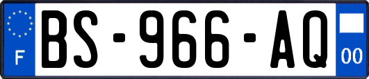 BS-966-AQ