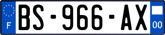 BS-966-AX