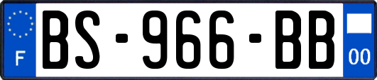 BS-966-BB