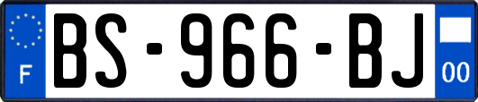 BS-966-BJ